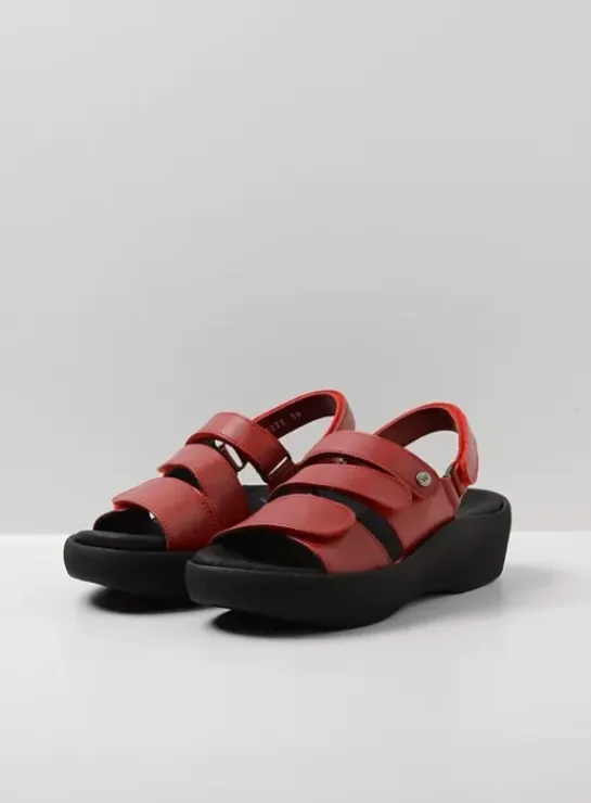 DAMES Wolky Sandalen|Avalon