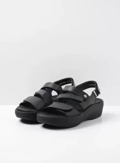 DAMES Wolky Sandalen|Voorjaar/zomer|Avalon