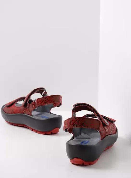 DAMES Wolky Sandalen|Brasilia