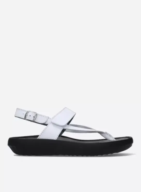 DAMES Wolky Sandalen|Cebu