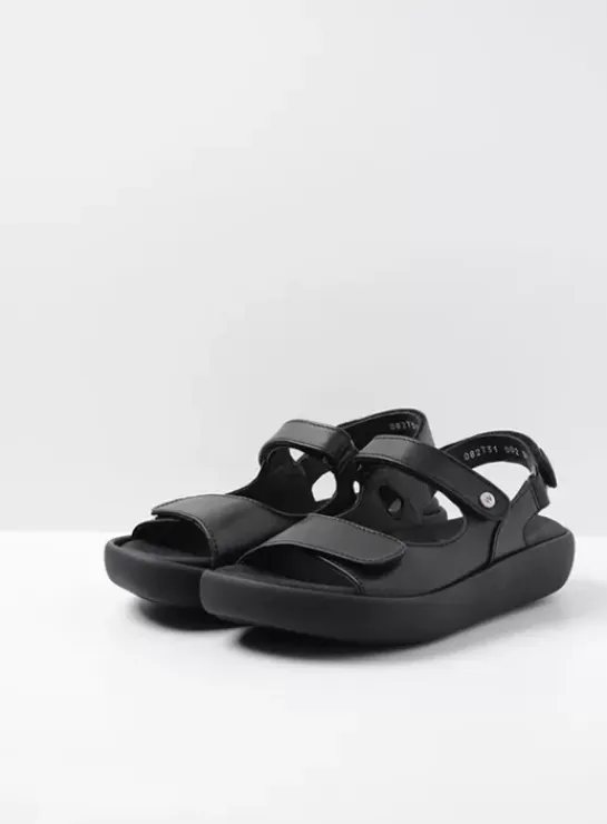 DAMES Wolky Volle voeten|Sandalen|Celine XW