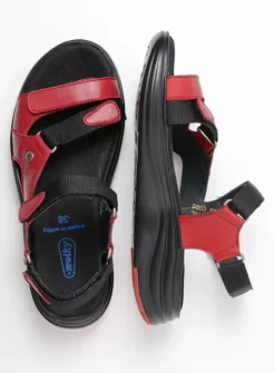 DAMES Wolky Sandalen|Voorjaar/zomer|Cirro