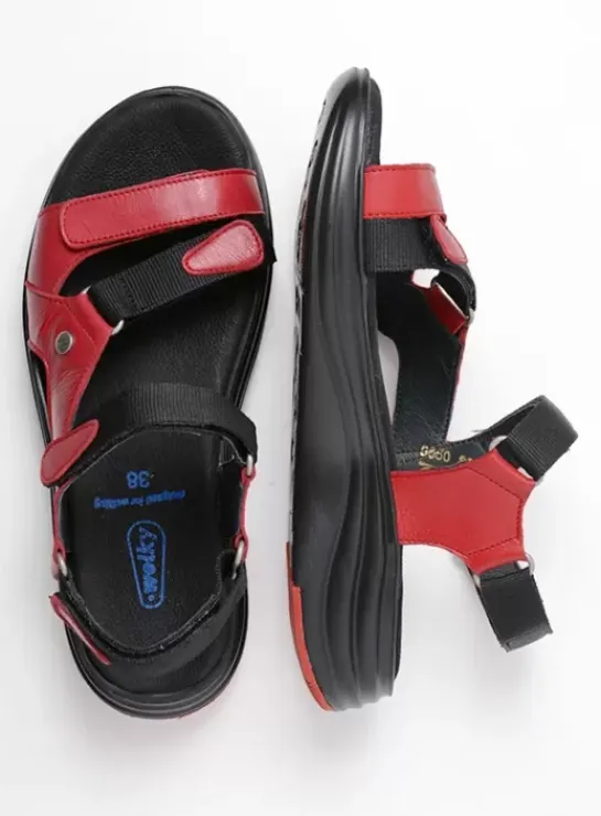 DAMES Wolky Sandalen|Voorjaar/zomer|Cirro