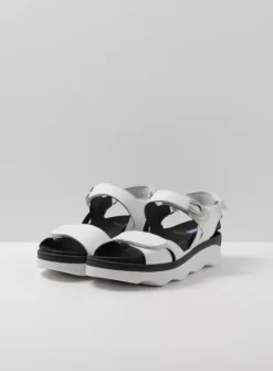 DAMES Wolky Sandalen|Medusa