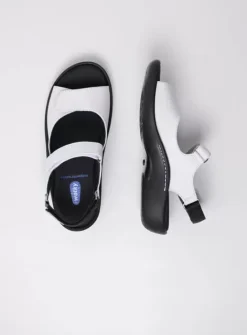 DAMES Wolky Sandalen|Voorjaar/zomer|Salvia